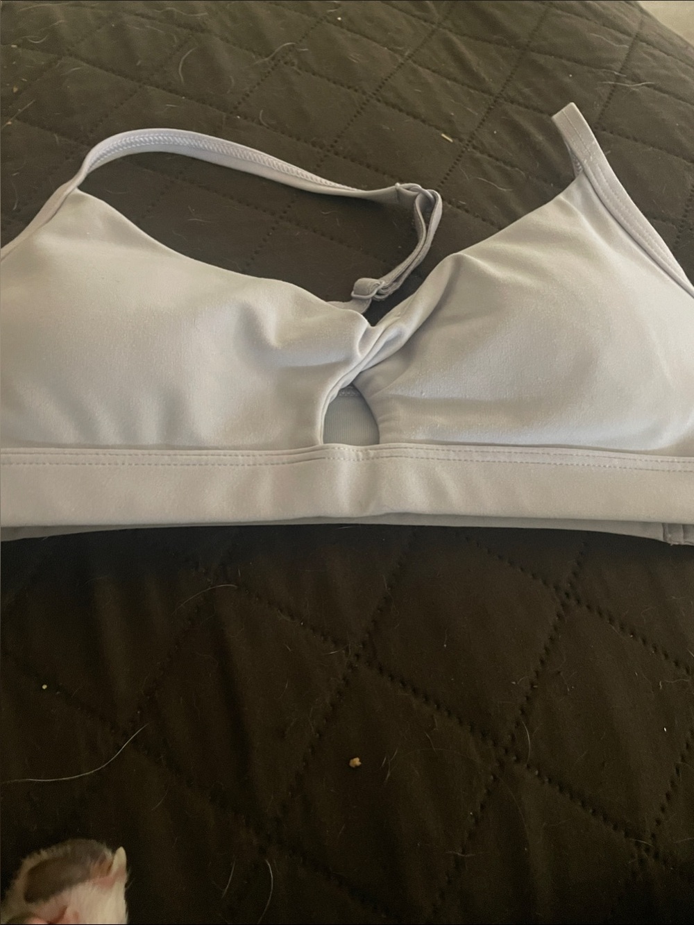Everyday Light Gray Sports Bra — Soft Support Bralette